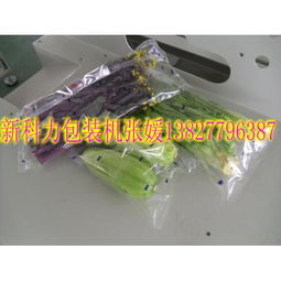 山西蔬菜包装机 佛山市禅城区新科力机械设备厂封口包装机专业解决方案